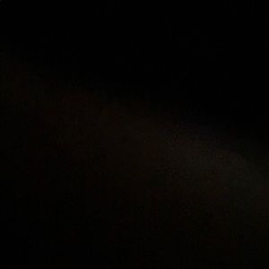 Meet your Posher, Korbin